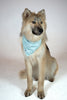 Smiles Dog Bandana