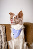 Lavender Dog Bandana
