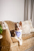 Lavender Dog Bandana