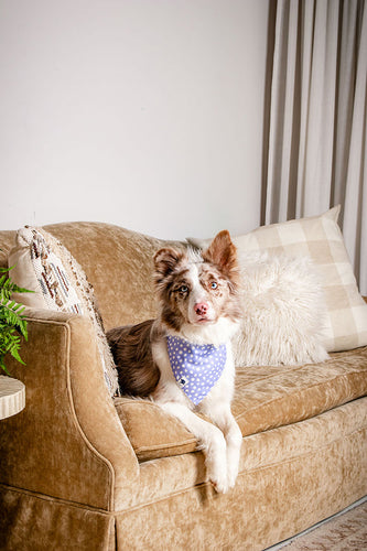 Lavender Dog Bandana