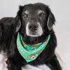 Football & Baseball Dog Bandana