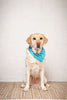 Tee Time Dog Bandana