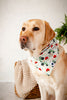 Farmers Market Dog Bandana