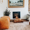 Molly Mutt Heat Waves Dog Bed Duvet