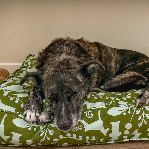 Molly Mutt Amarillo by Morning Organic Dog Bed Duvet