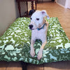 Molly Mutt Amarillo by Morning Organic Dog Bed Duvet