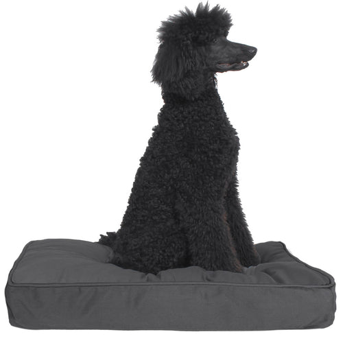 Molly Mutt I'm a Realist Dog Bed Duvet