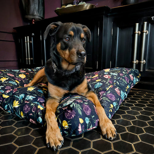Molly Mutt Friday Morning Dog Bed Duvet