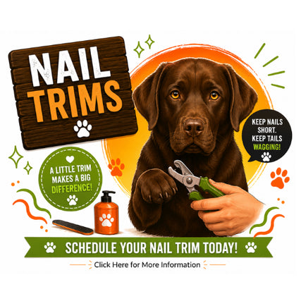 NAIL TRIMS