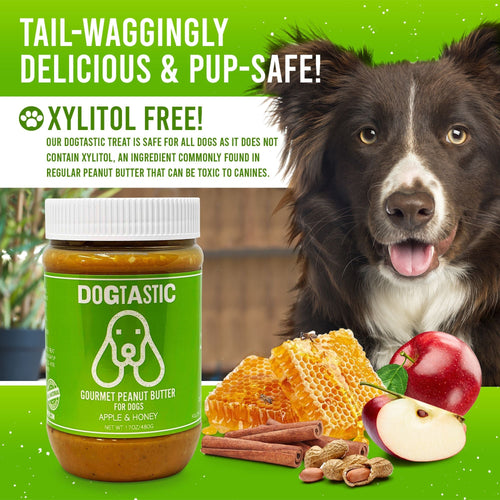 SodaPup Dogtastic Gourmet Peanut Butter for Dogs - Apple & Honey Flavor
